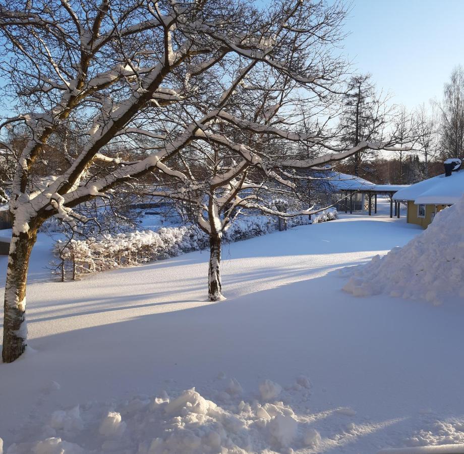 Piteå Vandrarhem Exterior foto
