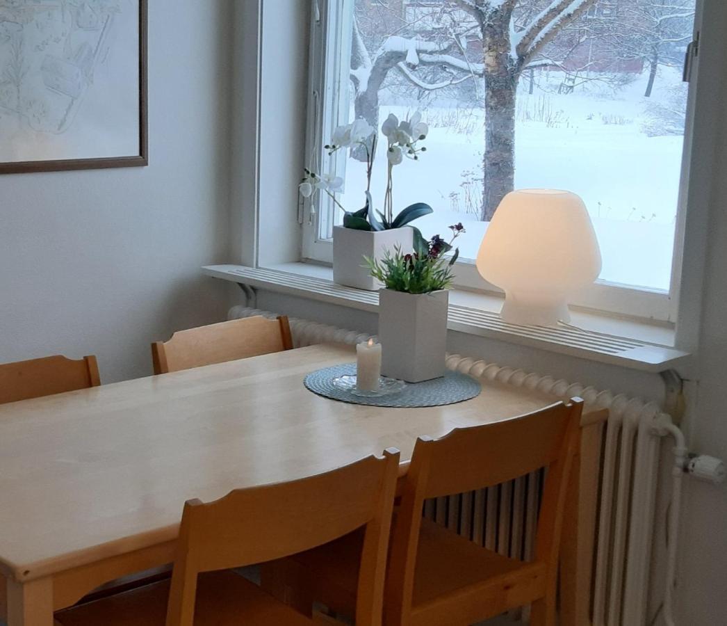Piteå Vandrarhem Exterior foto